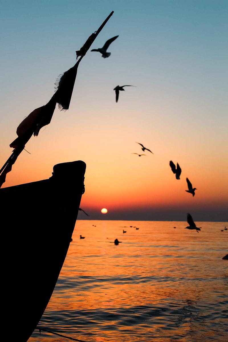 Image of Airline Flight Control Administrator - birds and boats at sunrise